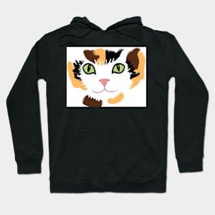 Calico Cat Hoodie